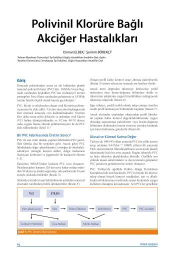 Polivinil KlorÃ¼re BaÄlÄ± AkciÄer HastalÄ±klarÄ± - Klinik GeliÅim
