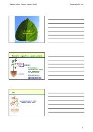 Primarni vegetativni organi semenk List