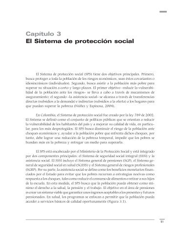 CapÃ­tulo 3 El Sistema de protecciÃ³n social - Programa de las ...