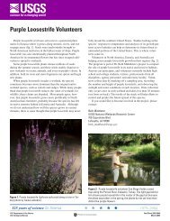 Purple Loosestrife Volunteers - USGS National Wetlands Research ...