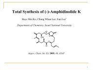 Total Synthesis of (-)-Amphidinolide K - Group Renaud