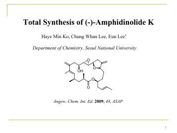 Total Synthesis of (-)-Amphidinolide K - Group Renaud