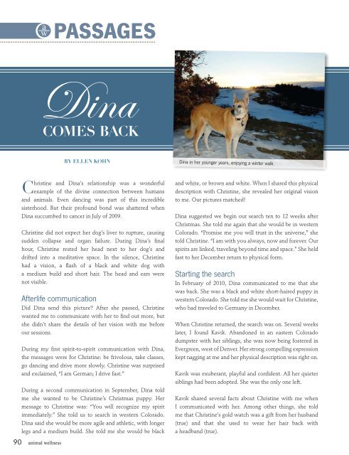 Dina Is Back Pdf Enlightened Animals Dina Is Back Pdf Enlightened Animals