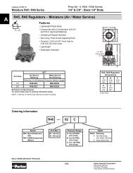 R45, R46 Regulators â Miniature (Air / Water ... - Wainbee Limited