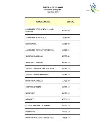 PLANTILLA DE PERSONAL Funciones principales Ejercicio 2009 ...