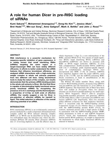 A role for human Dicer in pre-RISC loading of siRNAs