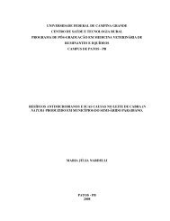 PDF da dissertaÃ§Ã£o - Cstr.ufcg.edu.br
