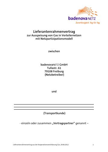 Lieferantenrahmenvertrag - badenovaNETZ GmbH