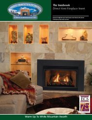 The Innsbrook Direct-Vent Fireplace Insert