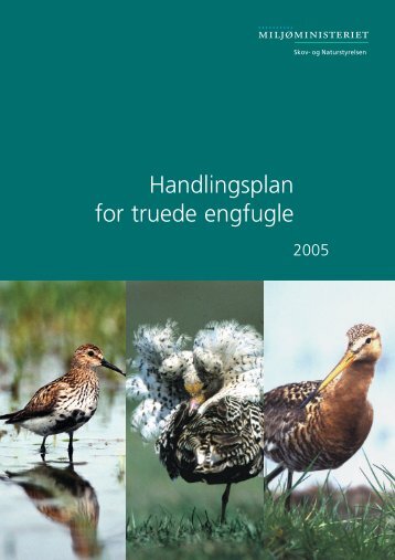 Handlingsplan for truede engfugle - Naturstyrelsen