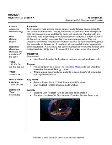 The Virtual Cell-Reviewing Cell Structure and Function - Career and ...