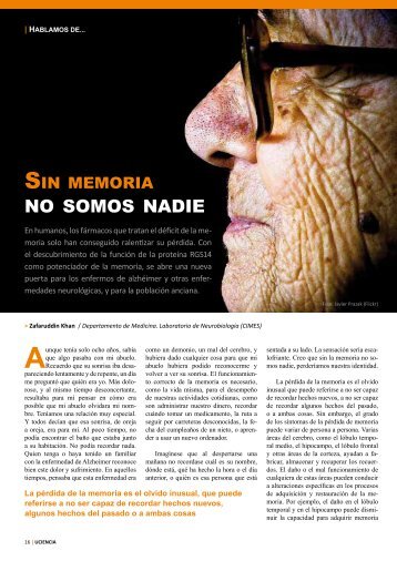 NO SOMOS NADIE