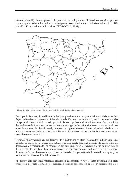 flora y vegetaciÃ³n acuÃ¡ticas de las lagunas y humedales de la ...