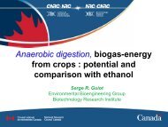 Anaerobic digestion: Bio-energy for our future - Renewable Energy ...
