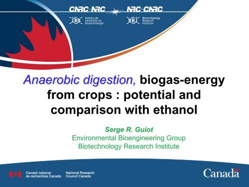 Anaerobic digestion: Bio-energy for our future - Renewable Energy ...