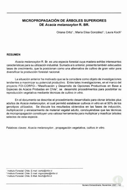 MICROPROPAGACIÃN DE ÃRBOLES SUPERIORES ... - Inicio - Infor