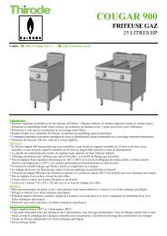 FRITEUSE GAZ - Thirode International