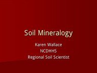 Clay Mineralogy and Soil Consistence