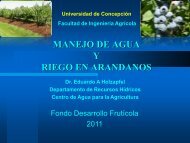 MANEJO DE AGUA Y RIEGO EN ARANDANOS - Comite de ...