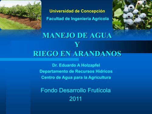 MANEJO DE AGUA Y RIEGO EN ARANDANOS - Comite de ...
