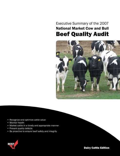 National Market Cow and Bull Beef Quality Audit - Dairy Cattle Edition