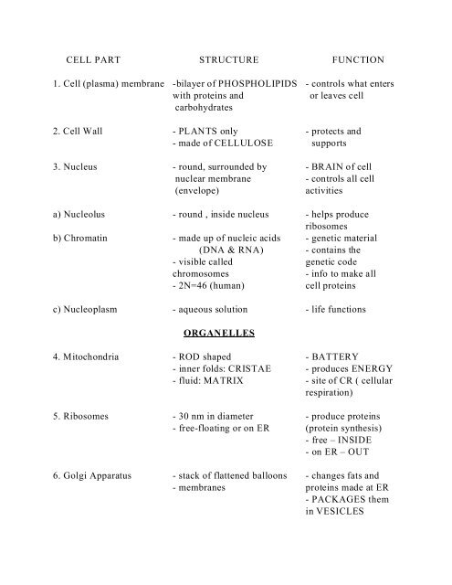 THE CELL â STRUCTURE AND FUNCTION All living things are ...