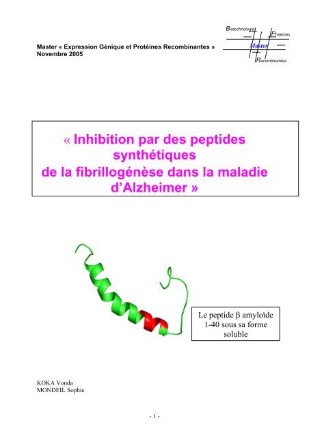 Inhibition par des peptides synthétiques de la fibrillogenèse dans la ...