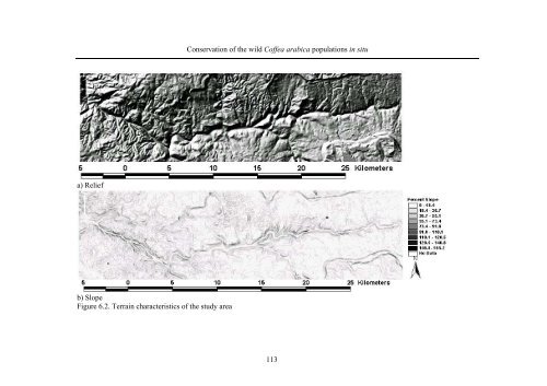 Ecology and Development Series No. 10, 2003 - ZEF