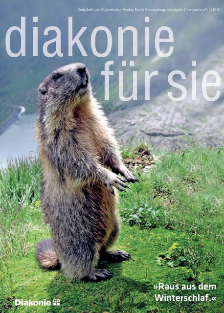 BKK Diakonie – stark für Versicherte - Diakonisches Werk Berlin ...