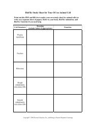 BioFlix Study Sheet for Tour Of An Animal Cell