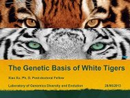 The Genetic Basis of White Tigers - abc