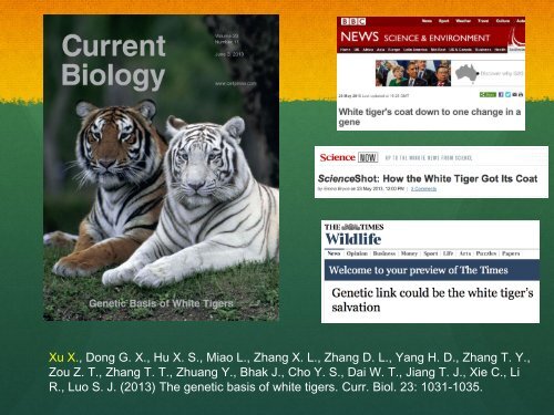 The Genetic Basis of White Tigers - abc