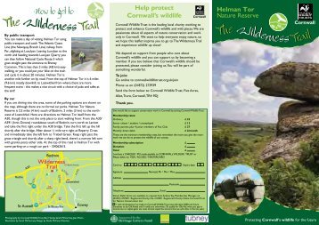 Wilderness Trail - Cornwall Wildlife Trust