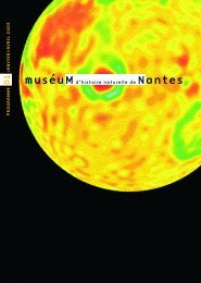 Musâum Prg 01/2005 pdf - MusÃ©um d'histoire naturelle de nantes