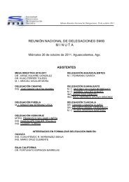 Minuta RND XVIII - sociedad mexicana de ingenierÃ­a sÃ­smica ac