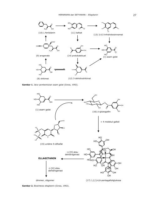 REVIEW: Ellagitanin; Biosintesis, Isolasi, dan Aktivitas Biologi