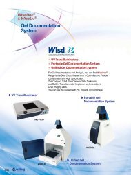 Gel Documentation System Gel Documentation System - Witeg