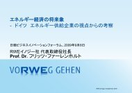 RWEイノジー社 代表取締役社長 フリッツ・ファーレンホルト 氏