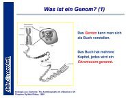 Was ist ein Genom? (1)