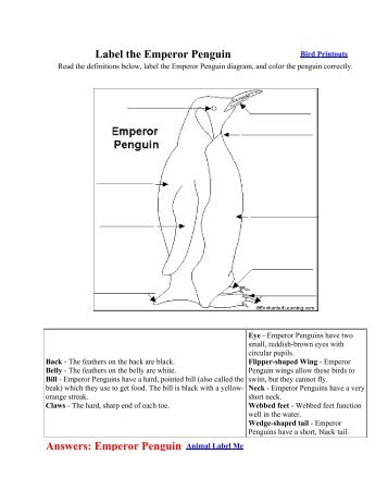 Label the Emperor Penguin