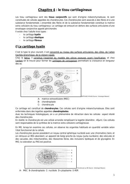 le tissu cartilagineux - Poly-Prepas