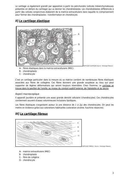 le tissu cartilagineux - Poly-Prepas