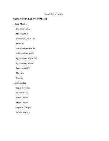 Muscle Study Guides AXIAL MUSCULAR SYSTEM LAB Head ...