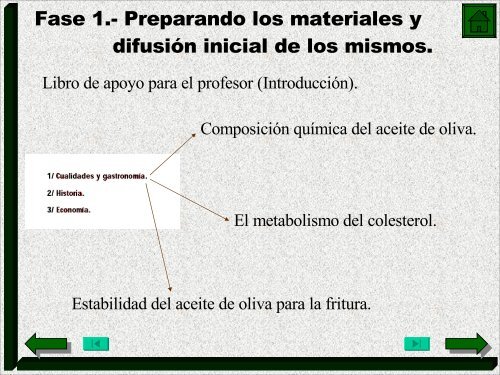 Resumen de las actividades del proyecto Olivar y Escuela (.pdf).