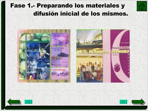 Resumen de las actividades del proyecto Olivar y Escuela (.pdf).