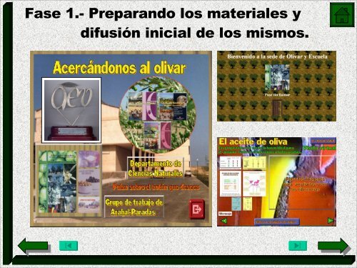 Resumen de las actividades del proyecto Olivar y Escuela (.pdf).