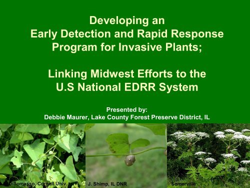 Developing An Early Detection Program For Invasive Plants in Your ...