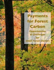 Payments for Forest Carbon: Opportunities and ... - Manomet