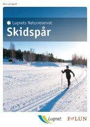 Skidspår - Lugnet