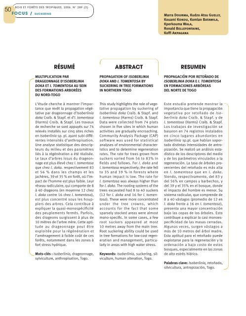 Multiplication par drageonnage d'Isoberlinia doka et I. tomentosa au ...